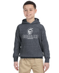 Dodgeland Youth Gildan Heavy Blend™ 50/50 Hooded Sweatshirt